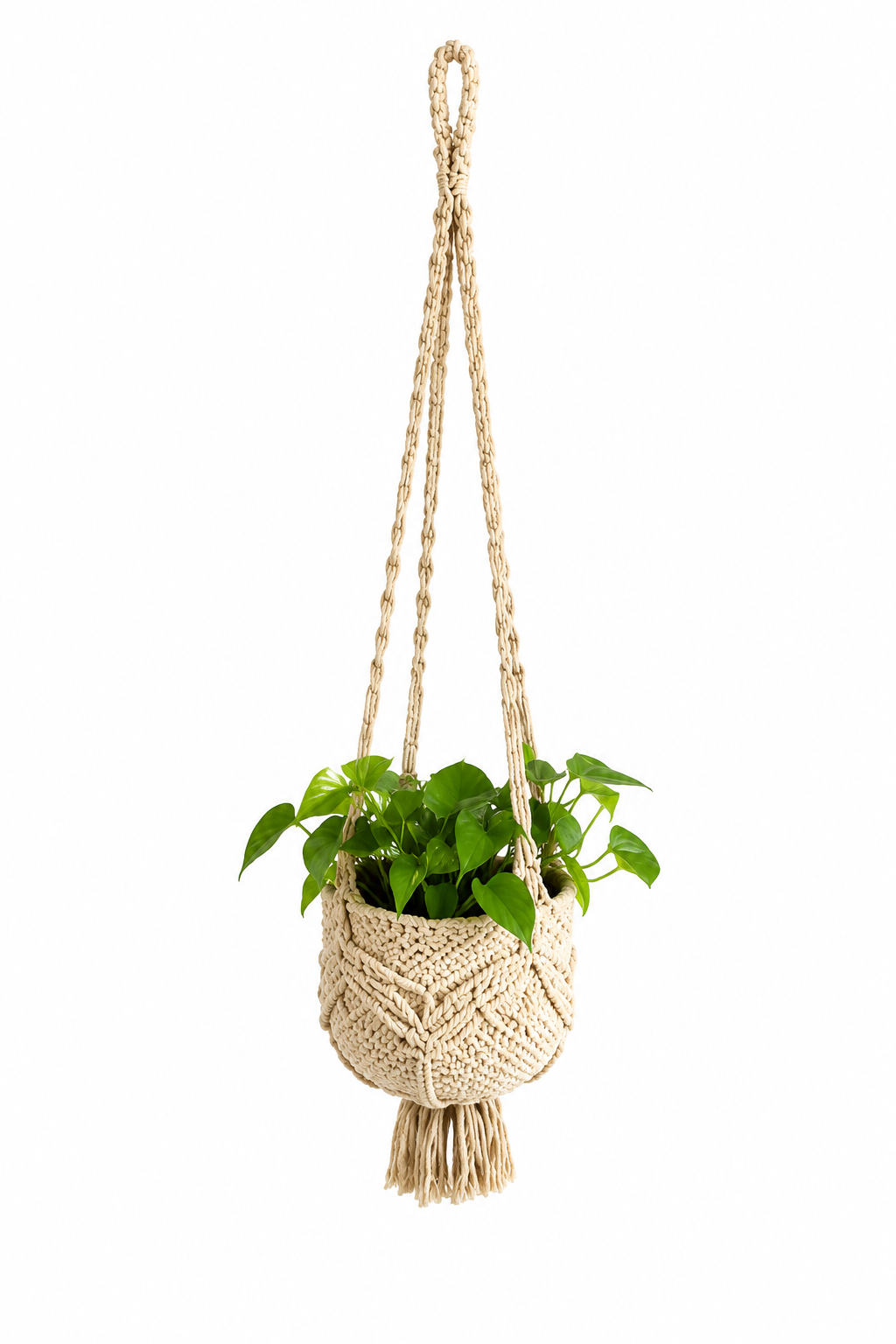 Macrame plant hanger handmade cotton cord Garud Living
